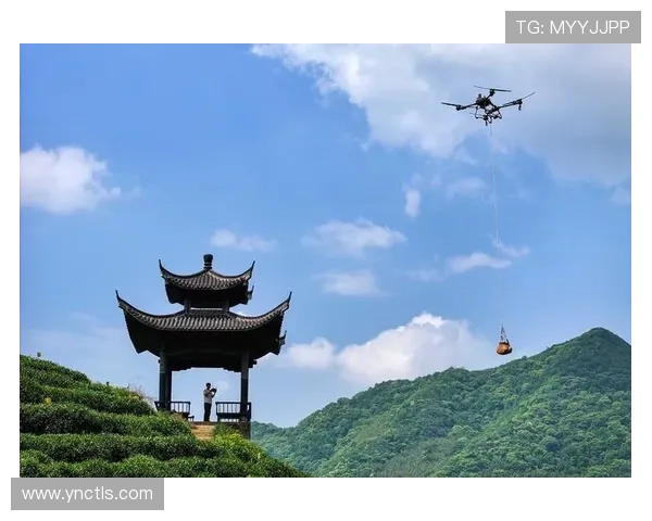 无人机摄影视角下的城市山川与自然风光创新表达探索创新路径研究 - 副本 - 副本 - 副本