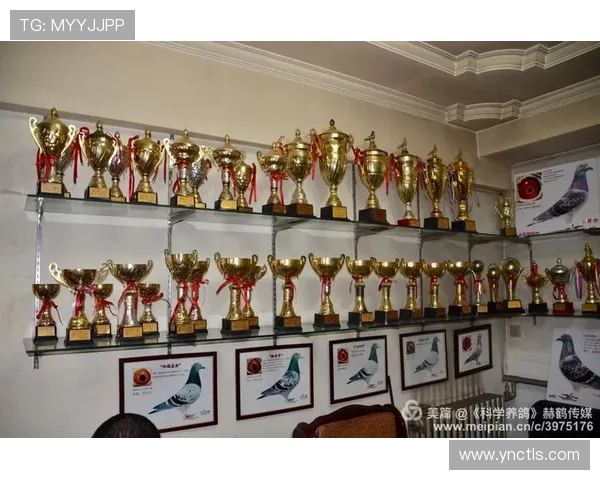 纵览百年风云激荡的世界体育历史回顾与传奇瞬间发展脉络与战史全 - 副本 (5) - 副本 - 副本